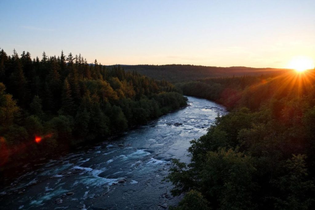 Surnommée la « petite Amazonie bretonne », cette rivière bordée de forêts denses est un trésor caché