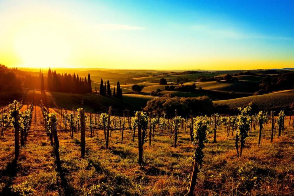 Ce bout de campagne du Lot ressemble étrangement à la Toscane