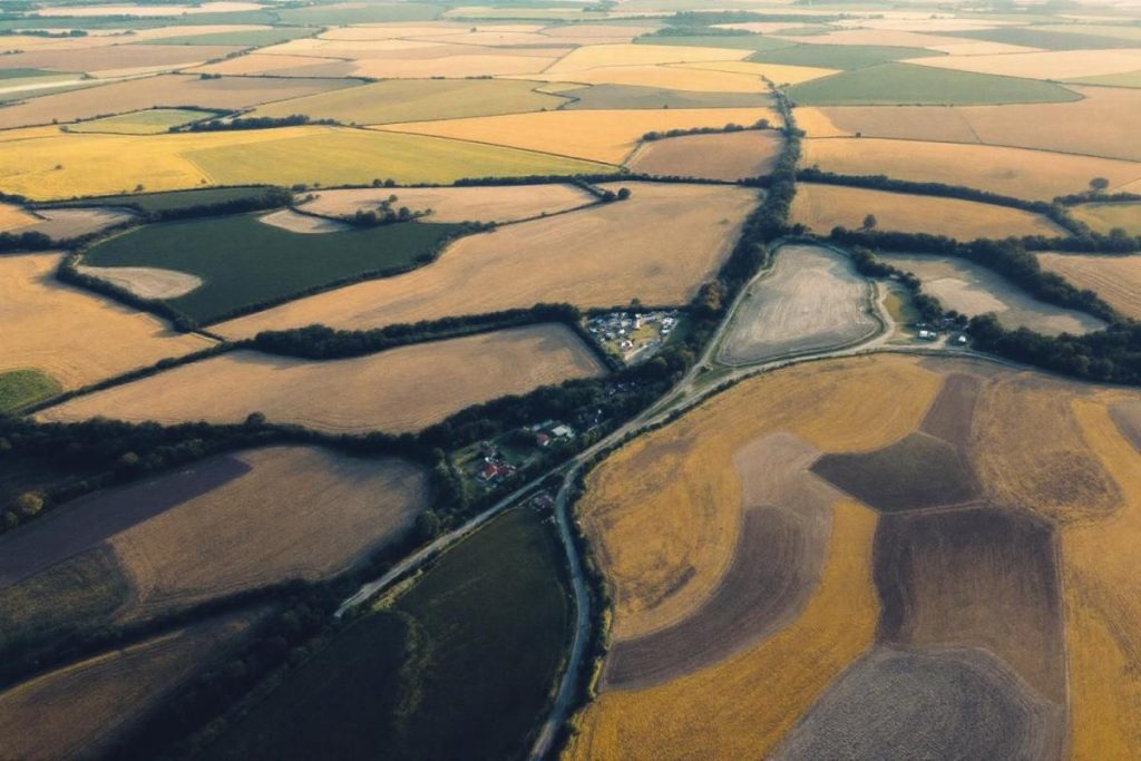 Cette île vendéenne attire les touristes et les amateurs de pommes de terre