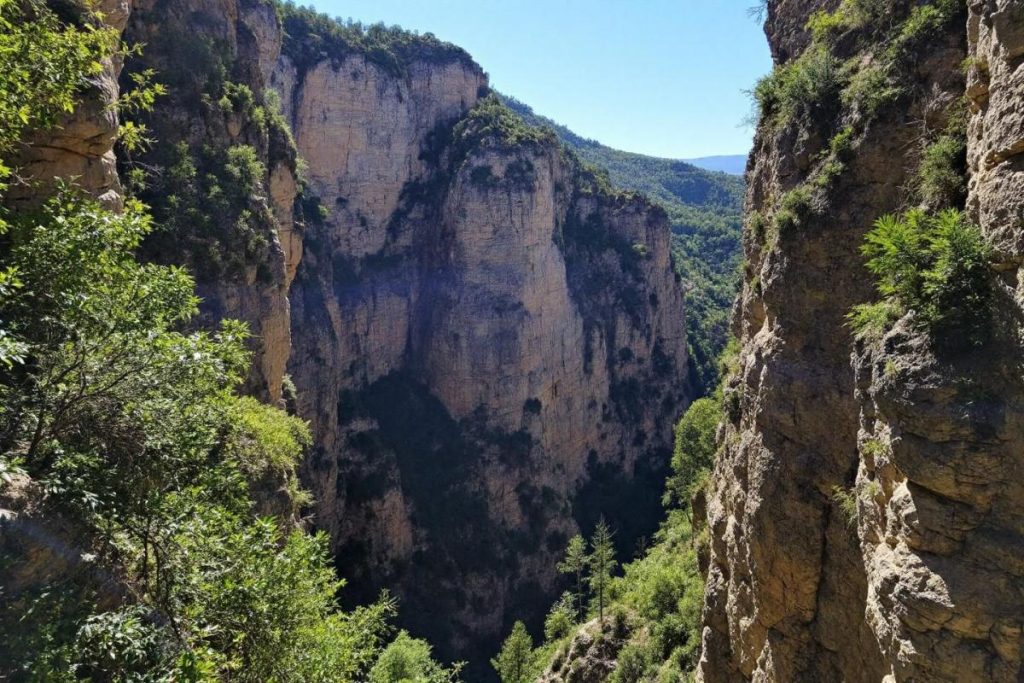 Oubliez les Gorges du Verdon : ce canyon caché en Provence est tout aussi impressionnant… et bien plus sauvage