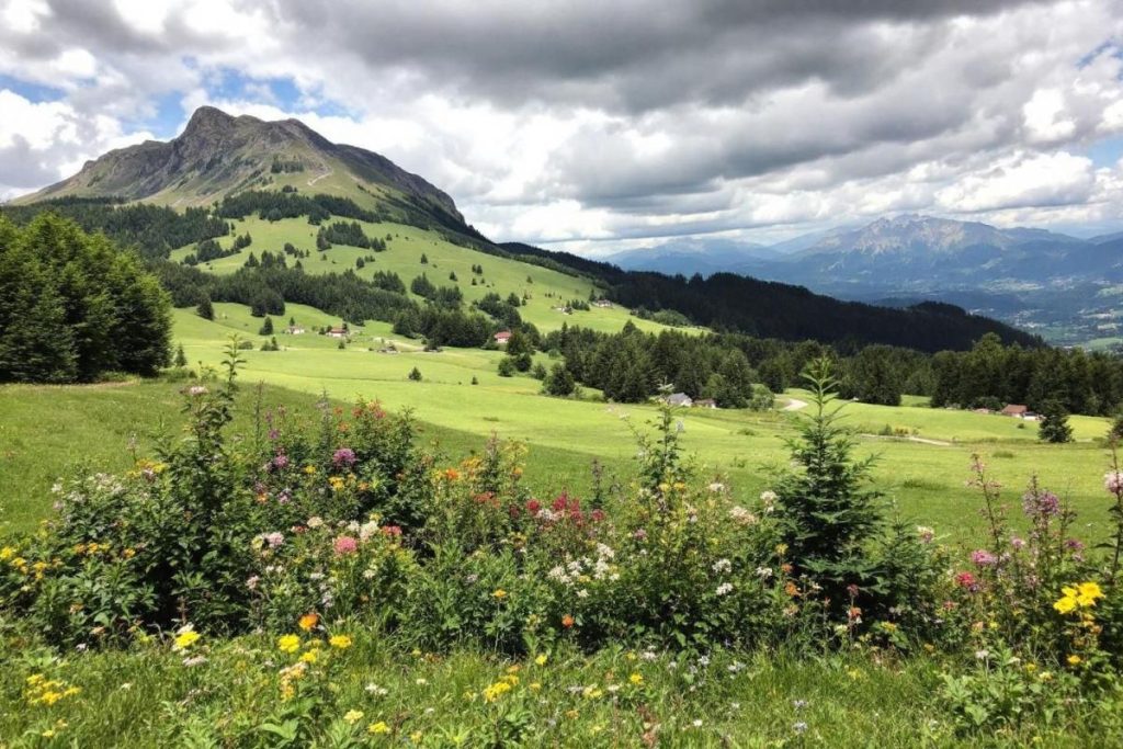 Discret mais époustouflant, ce parc des Vosges est la surprise nature de 2025