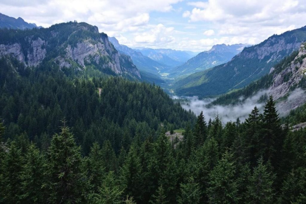 Ce site des Vosges rappelle les Appalaches, entre forêts épaisses et crêtes granitiques