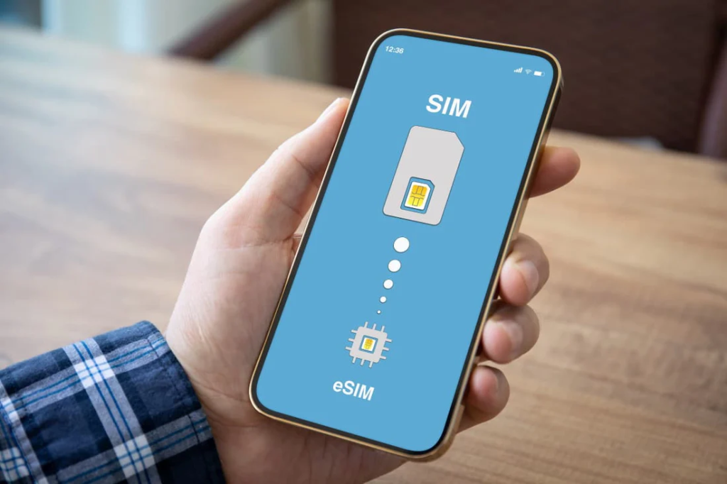 Une personne tient un smartphone sur lequel figure une illustration montrant le passage d'une carte SIM physique à une carte SIM électronique.