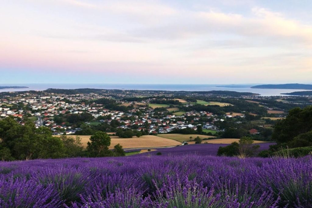 “Impossible de ne pas tomber amoureux” : ce village perché du Vaucluse fait chavirer les visiteurs
