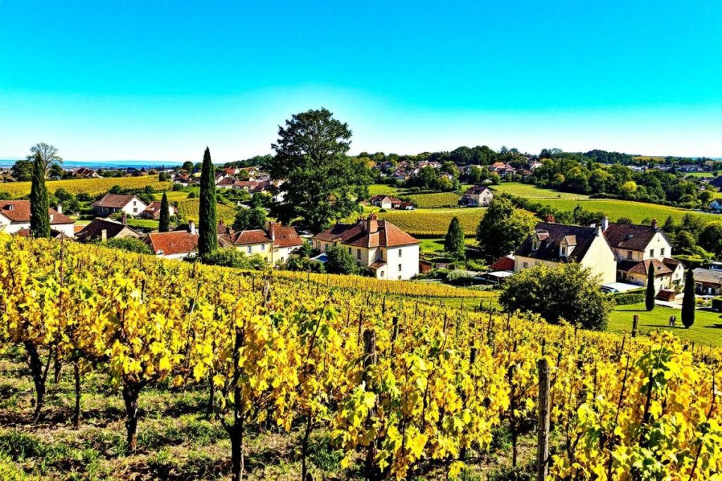 Aux portes de Dijon, ce village de Bourgogne viticole charme par ses maisons dorées et ses caves anciennes