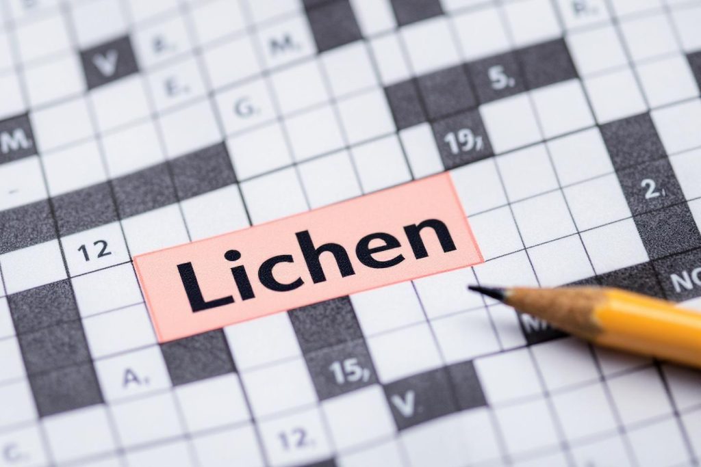 Gros plan sur le mot 'Lichen' sur une grille de mots croisés